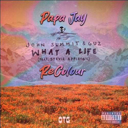 John Summit & Guz - What A Life ( PAPAJAY Re - Colour )[Remix]