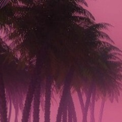 Miami Sunset Drive (Slowed + Reverb)