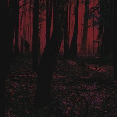 the hand - annabelle dinda (tiktok vers)