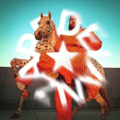 My Horse Is Funky  ✦  Hardgroove, Funk, Techno, Trance