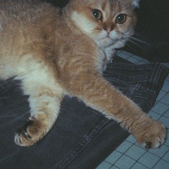 test #2