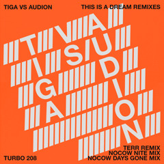 Tiga VS Audion - This Is A Dream (Nocow Nite Mix)