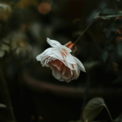 Just One (prod. Kontrabandz)