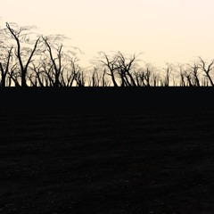 im pretty sure i died already