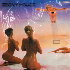 Meekosaga - EBONYHOUSE MIXXX [DASHH RADIO EXCLUSIVE]