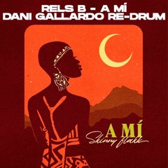 Rels B - A MÍ (Dani Gallardo Redrum)