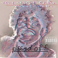 p!ssed off (prod. fake flowers)