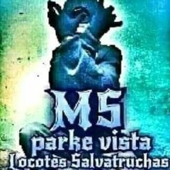 MS.13.PVLS.HLS.MAREROS ACTIVADOS