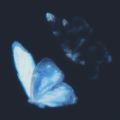 Butterfly Doors (with Datboy_X)