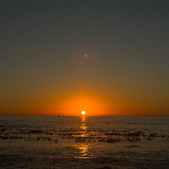 3 Step Amapiano Chill Set