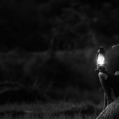 Organic Temptation Vol 12