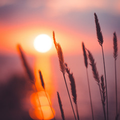 God is Utterly Amazing