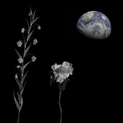 Live E. Music Project #1. Lunar