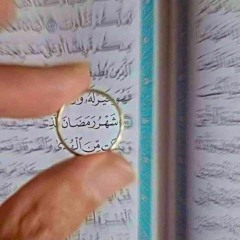 جميع سور قرآن ياسر الدوسري