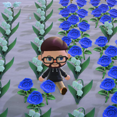 morning musing (Animal Crossing: New Horizons - 5 AM arrange)