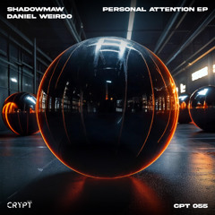 Shadowmaw, Daniel Weirdo - Spirit of the Dance Floor (Radio Edit) [Crypt Music]