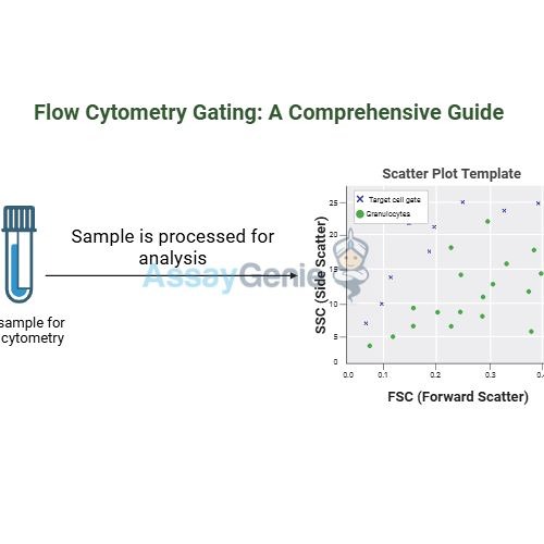 Flow Cytometry Gating_ A Comprehensive Guide