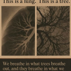 MusicLeon20251111_v3