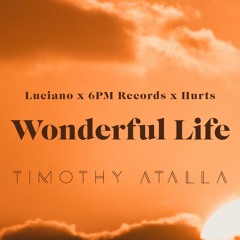 Luciano - Wonderful Life (TIMOTHY ATALLA Mix)