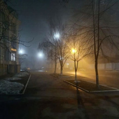 Late Night Lights