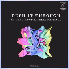Fake Mood, Felix Raphael - Push it through