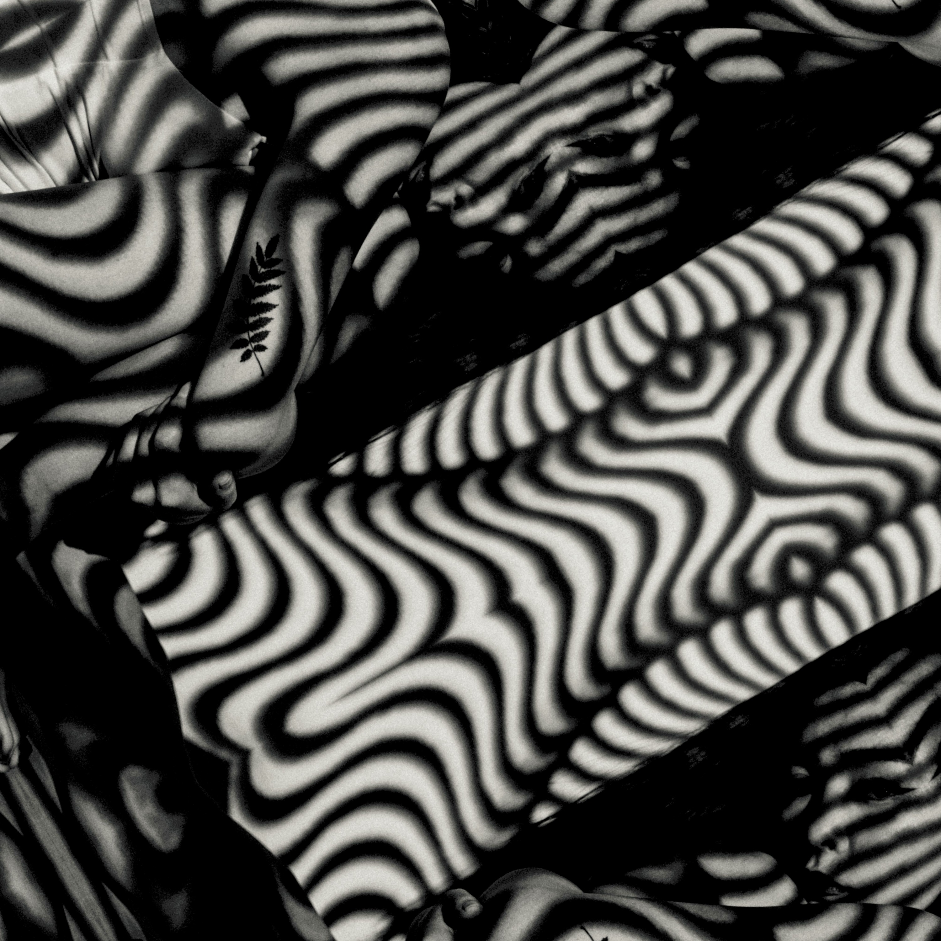 JEAN MOTELL PRESENTS \