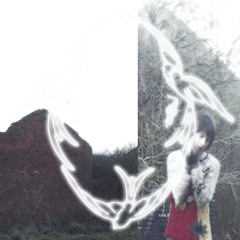 live2shine