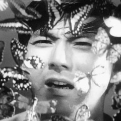 )] Garden in the Mirror [(