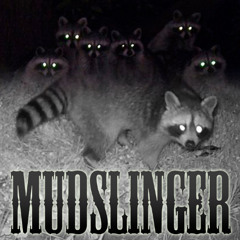 Mudslinger