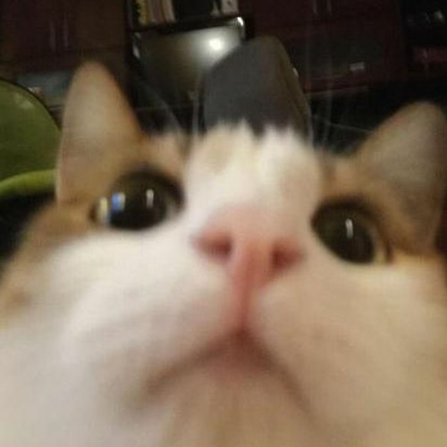 me 2