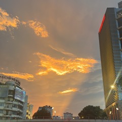 salva to ré phatthanhedjt