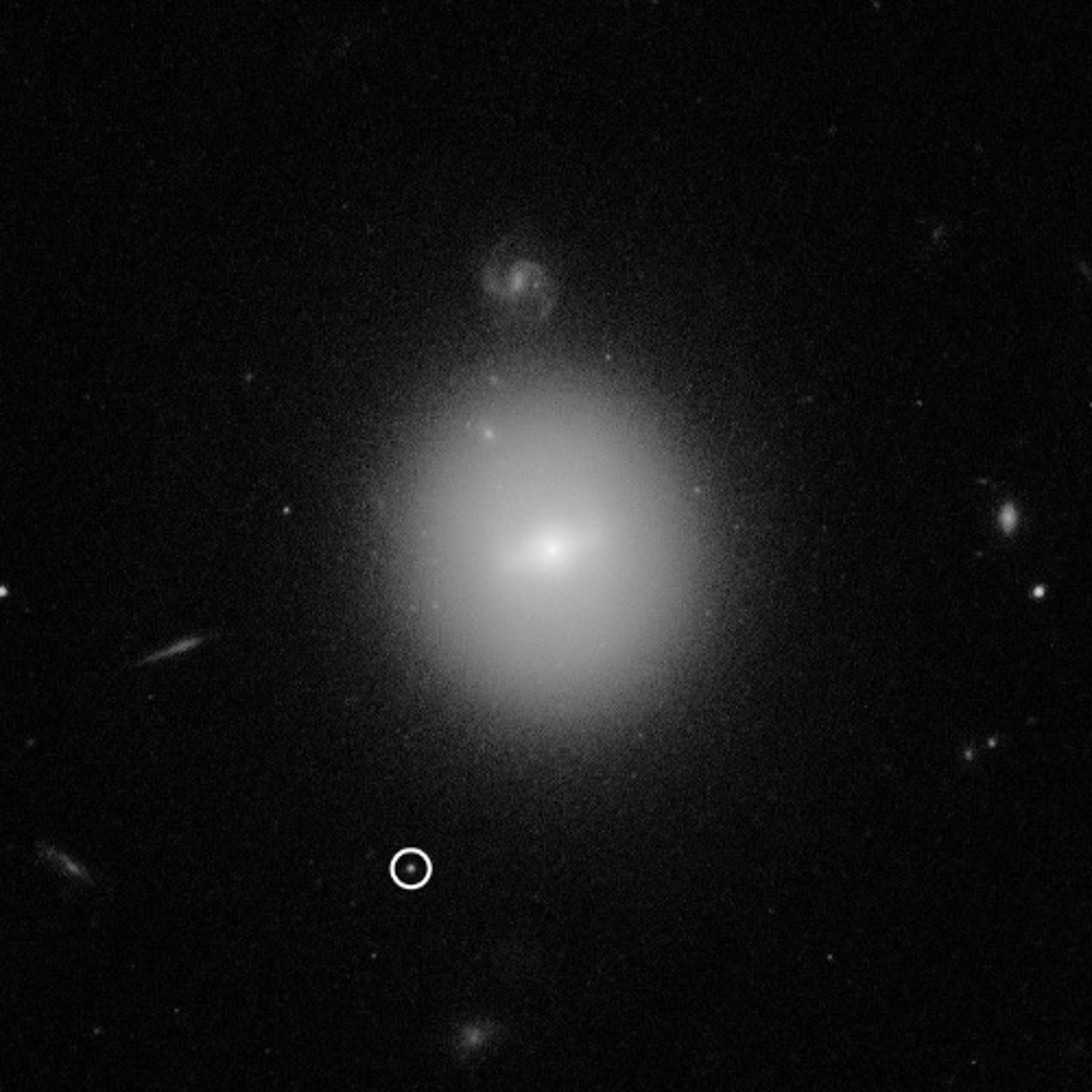 The Statement (Demo - Techno QA 004)