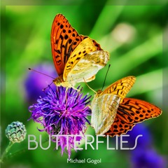 Butterflies - Michael Gogol
