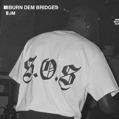 Burn Dem Bridges (Remix)