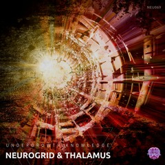 01 - Neurogrid And Thalamus - Discover