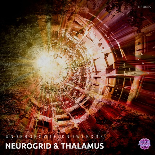 01 - Neurogrid And Thalamus - Discover