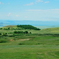 area_20221229