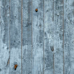 Throughlines - April 25, 2025
