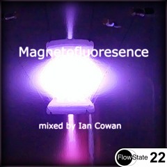 Ian Cowan - Magnetofluoresence [Deep House] [FS 22]