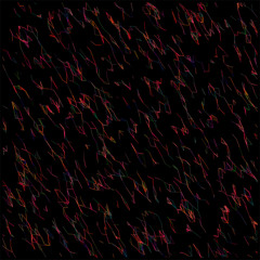 11919 [Selenocosmia Stirlingi]