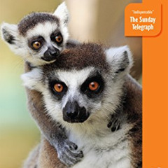 [Access] EBOOK 💏 Madagascar (Bradt Travel Guide) by  Daniel Austin &  Hilary Bradt [