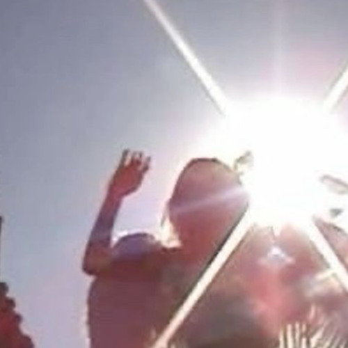 guns&flowers (plug2dope)