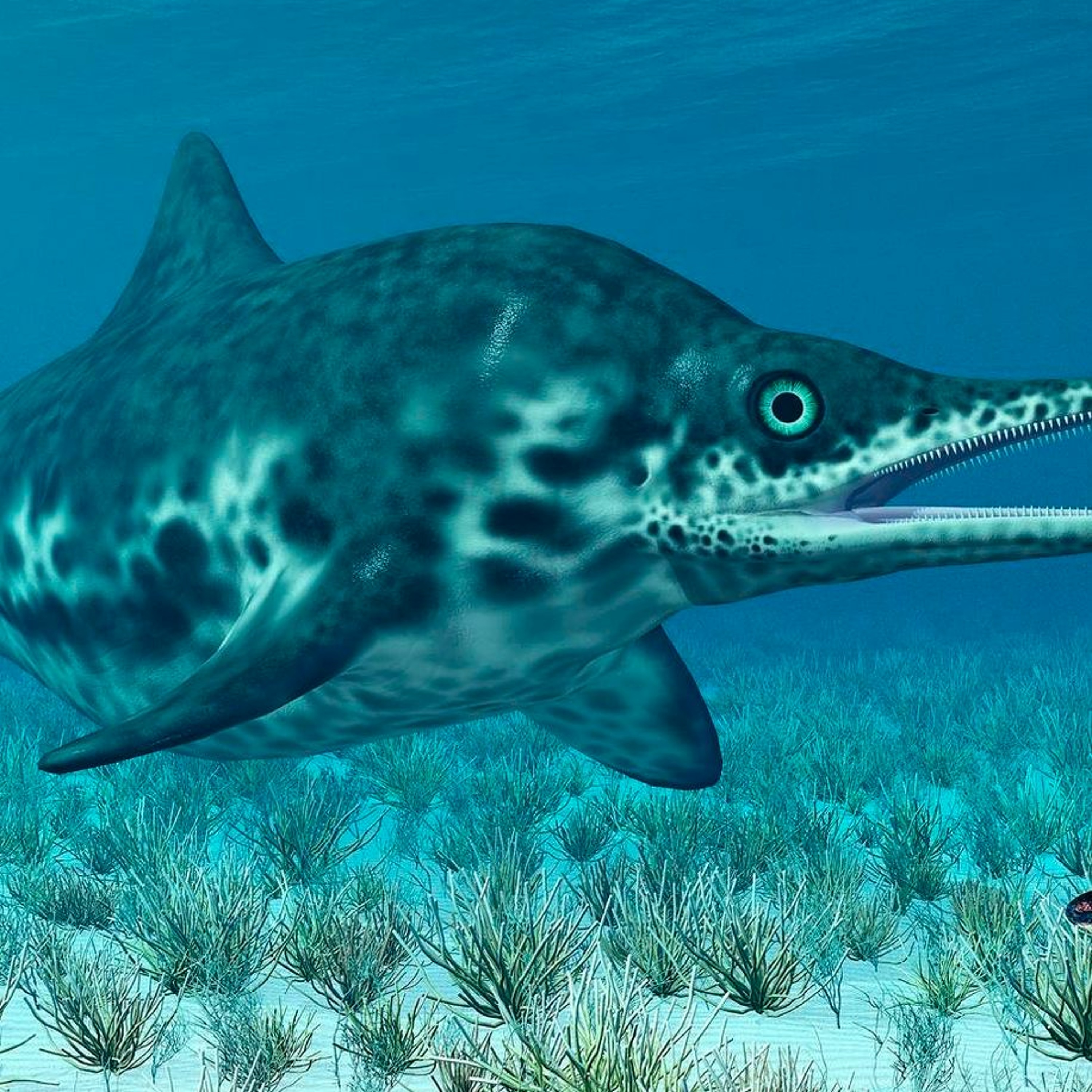 Astronomie - En route vers les etoiles