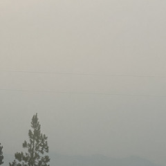 ACCEPT (Prod. Bleedn)