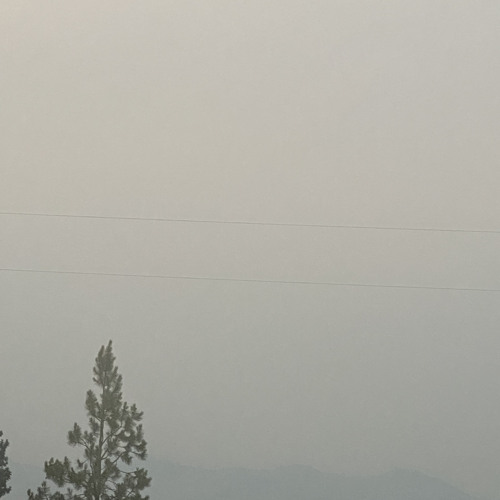 ACCEPT (Prod. Bleedn)