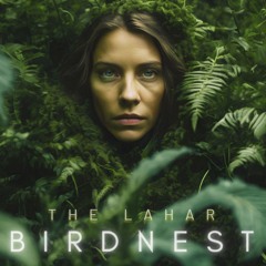 BIRDNEST #149