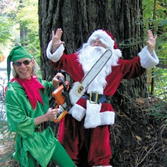 Kill a Tree for Christ