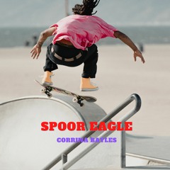 Spoor Eagle