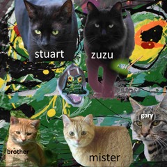 when you live at the edge of the forest you get targeted