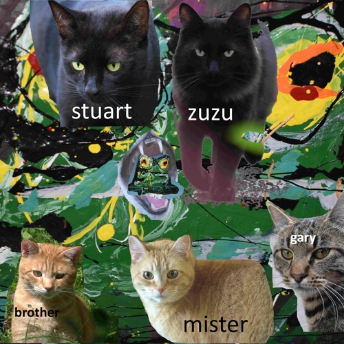 when you live at the edge of the forest you get targeted